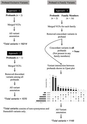 Coordination among frequent genetic variants imparts substance use susceptibility and pathogenesis